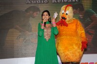 Bangaru Kodipetta Audio Stills